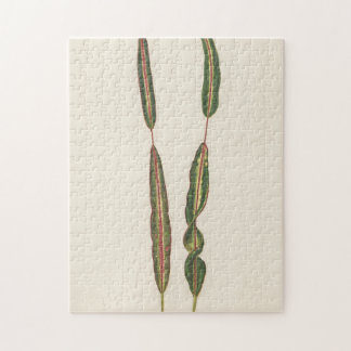 Quebra-cabeça Plantas Mãe Pai, Gardener Romântico Presente