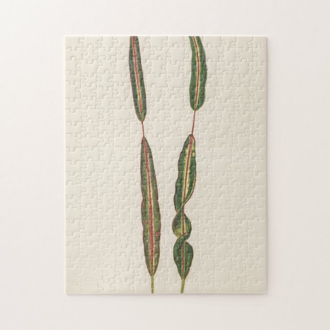 Quebra-cabeça Plantas Mãe Pai, Gardener Romântico Presente (Vertical)