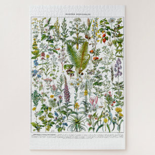 Quebra-cabeça Plantas Medicinais e Flores por Adolphe Millot