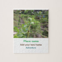 Plantas naturais fotografia água de praia viagem