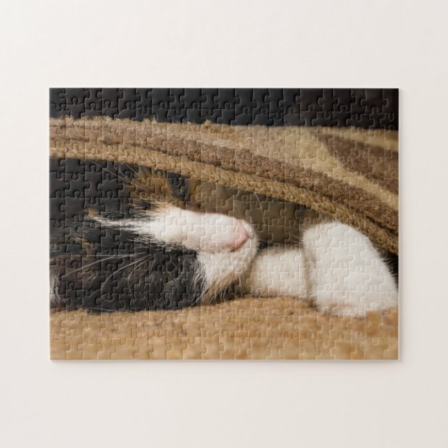 Quebra-cabeça Playing Under The Rug (Horizontal)
