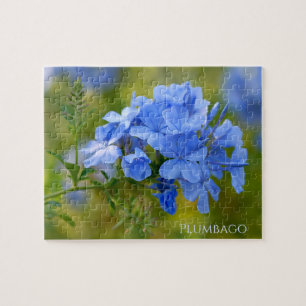 Quebra-cabeça Plumbago - Fotografia Floral das Flores Azuis de V