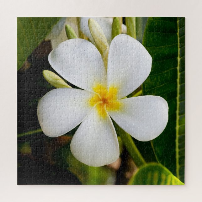 Quebra-cabeça Plumeria Flowera com Folhas (Vertical)