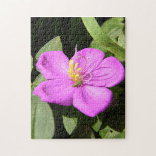 Quebra-cabeça Plumeria Poster Faux Canvas, Rosa Havaiana, Imprim
