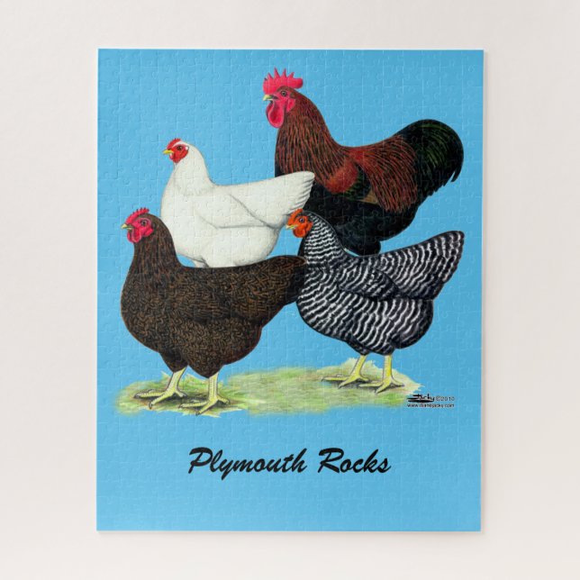 Quebra-cabeça Plymouth Rock Quartet (Vertical)