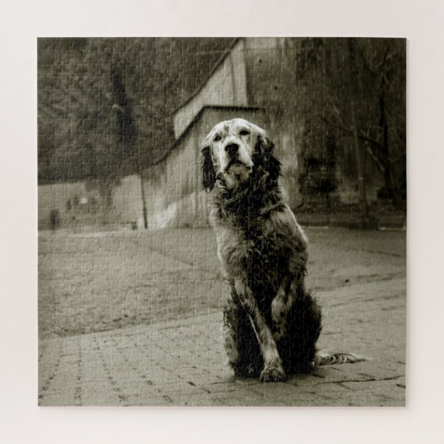 Quebra-cabeça Pobre Cão Esperando (Vertical)