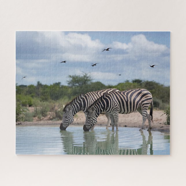 Quebra-cabeça Poço de Água de Zebra (Horizontal)