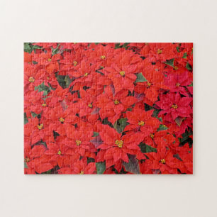 Quebra-cabeça Poinsétia Vermelha I Foto Floral de Natal Férias