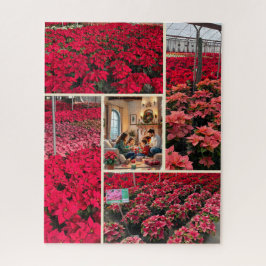Quebra-cabeça Poinsettia Adicione Sua Foto Presente de Natal