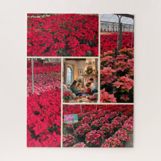 Quebra-cabeça Poinsettia Adicione Sua Foto Presente de Natal