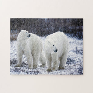Quebra-cabeça Polar Bear Love