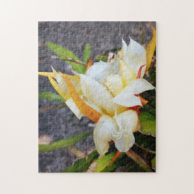 QUEBRA-CABEÇA POLINISTA DRAGON CACTUS BLOQUEIO NOTURNO (Vertical)