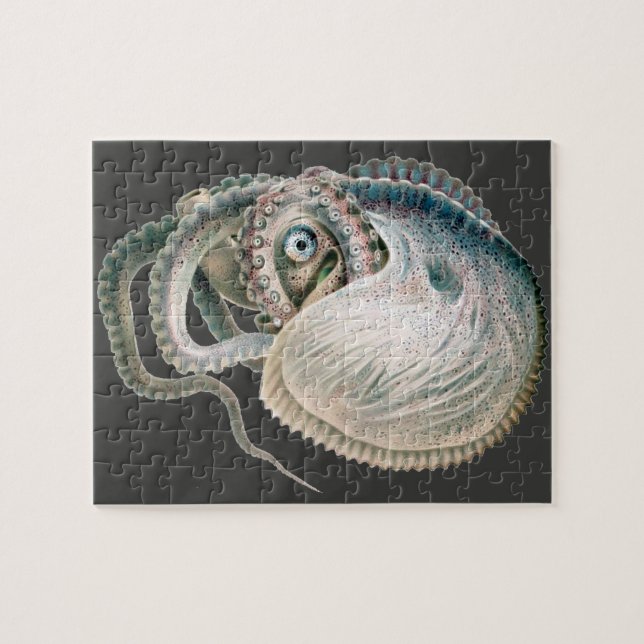 Quebra-cabeça Polvo Argonauta Antigo, Animais da Vida Marinha (Horizontal)