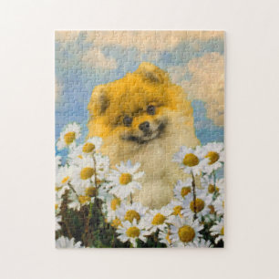 Quebra-cabeça Pomeranian nas margaridas que pintam - arte