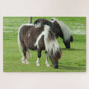 Quebra-cabeça Pôneis Paint Shetland de raça pura