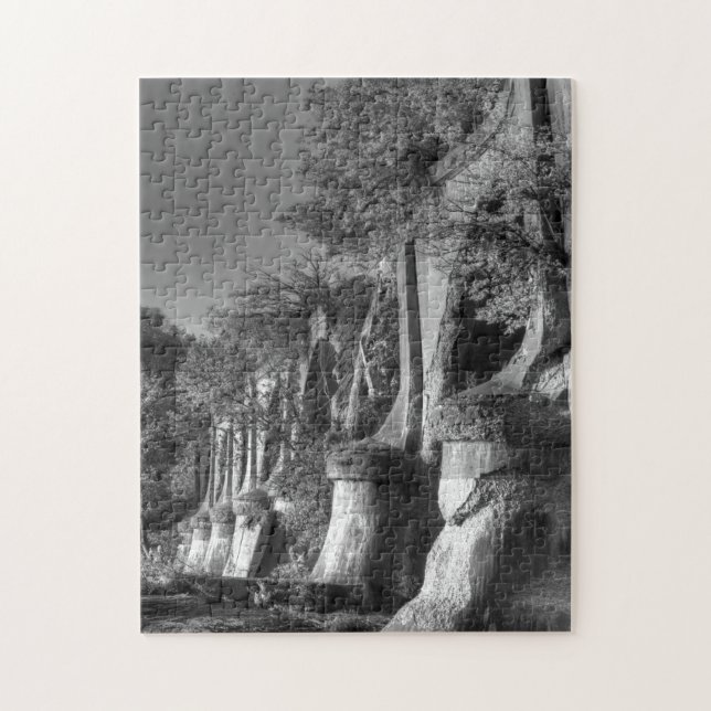 Quebra-cabeça Ponte Interurbana (Vertical)