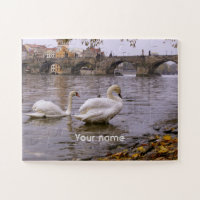 Ponte Swans e Charles em Praga
