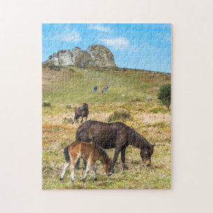 Quebra-cabeça Pony Haytor rock no Parque Nacional de Dartmoor De