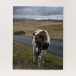 Quebra-cabeça Pony on Road in Dartmoor National Park