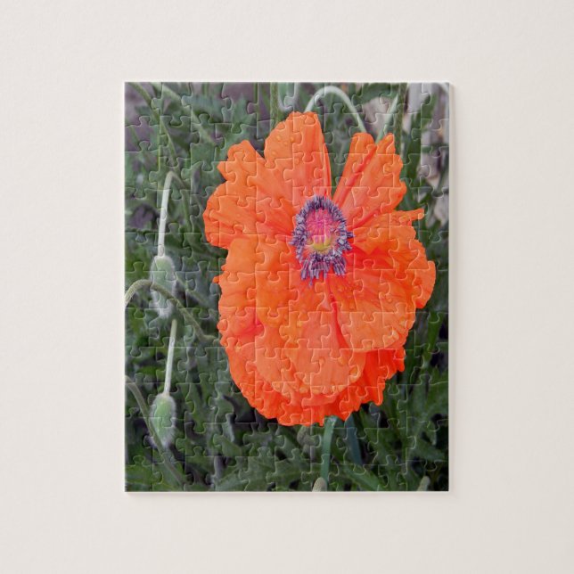 Quebra-cabeça Poppy Chinês.... (Vertical)