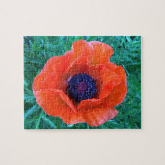 Quebra-cabeça PoPPY Oriental Red Orange —