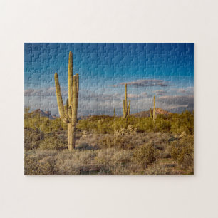 Quebra-cabeça Por do sol do cacto na arizona