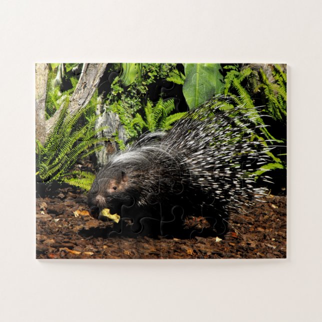 Quebra-cabeça Porcupine (Horizontal)