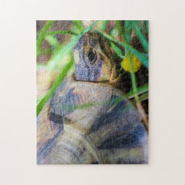 Quebra-cabeça Pormenores sobre a Angulação de Tortas na África d