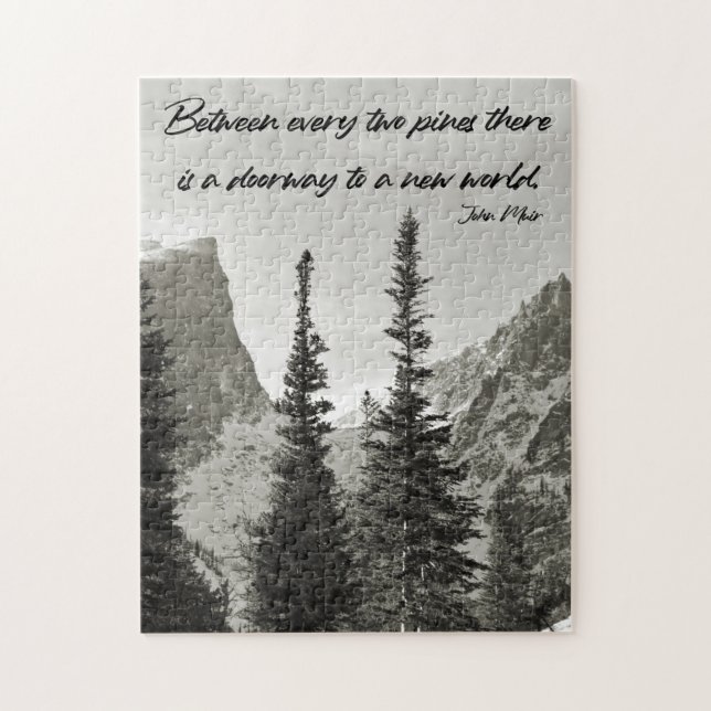 Quebra-cabeça Porta para um novo mundo - 11x14 polegadas (Vertical)