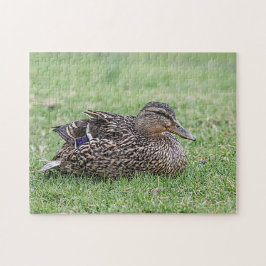 Quebra-cabeça Portrait of a female mallard