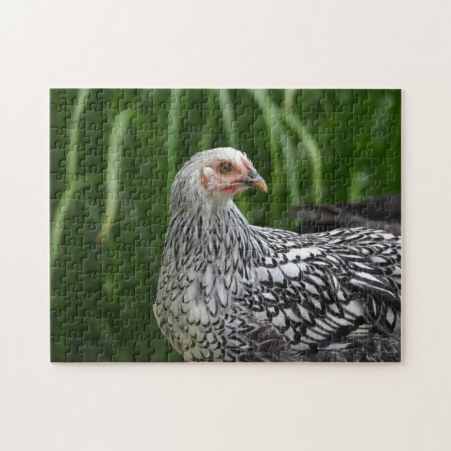 Quebra-cabeça Posing Hen (Horizontal)