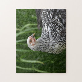 Quebra-cabeça Posing Hen