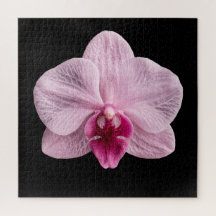 Pôster da Coleção de Orquídeas Botânicas Elegantes