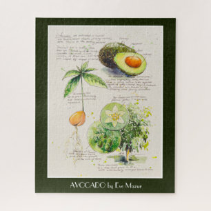 Quebra-cabeça POSTER de ilustração botânica do Avocado Pintado p