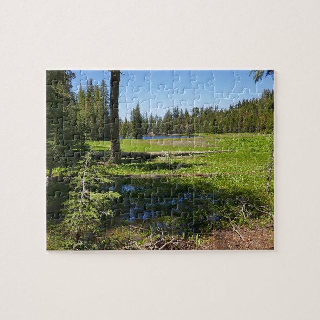 Quebra-cabeça Prado de Yosemite com Estrelas Cadentes (Horizontal)