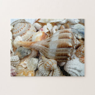 Quebra-cabeça Praia Shells Lightning WhelQuebra-cabeça
