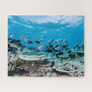 Quebra-cabeça Praias Tropicais Sturgeon Entre Coral