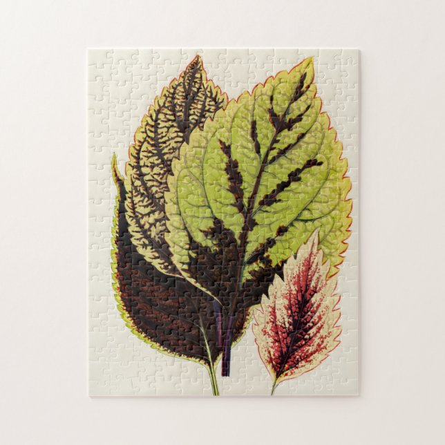 Quebra-cabeça Presente de Especialidade Botânica do Jardineiro (Vertical)