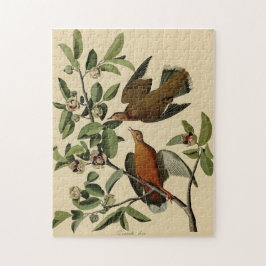 Quebra-cabeça Presente de pintura de pássaros da Vintage Audubon
