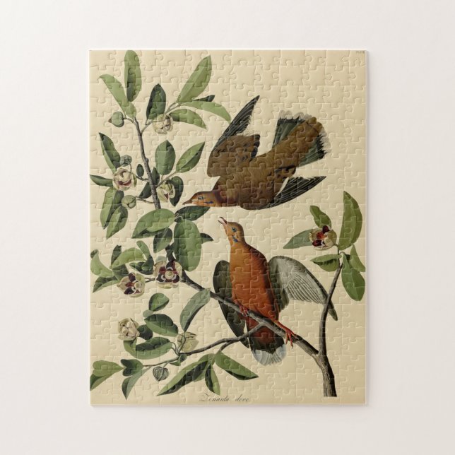 Quebra-cabeça Presente de pintura de pássaros da Vintage Audubon (Vertical)