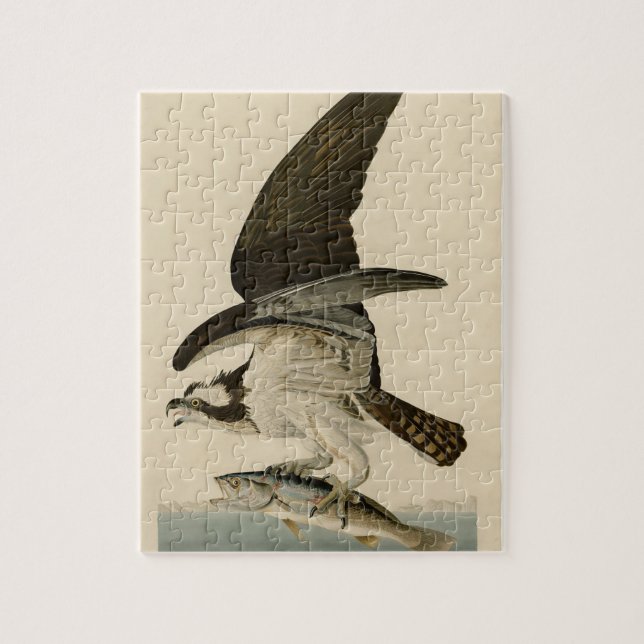 Quebra-cabeça Presente de pintura de pássaros do Audubon em Vint (Vertical)