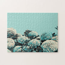 Presente dos Açores, Hídrangeas Ilustração Portuga