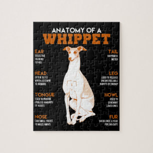 Quebra-cabeça Presente para cães anatomia de um cão de chicot