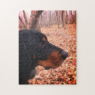 Quebra-cabeça Preto & Coonhound de Tan