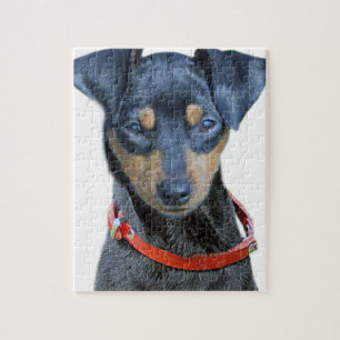 Quebra-cabeça Preto e Brown do Pinscher diminuto