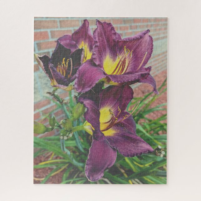 Quebra-cabeça Pretty Purple Burgundy Day Lilies (Vertical)