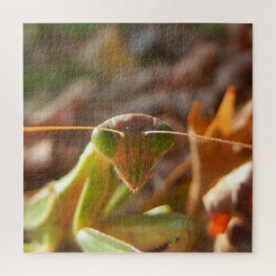 Quebra-cabeça Preying Mantis Insett Macro Nature Foto