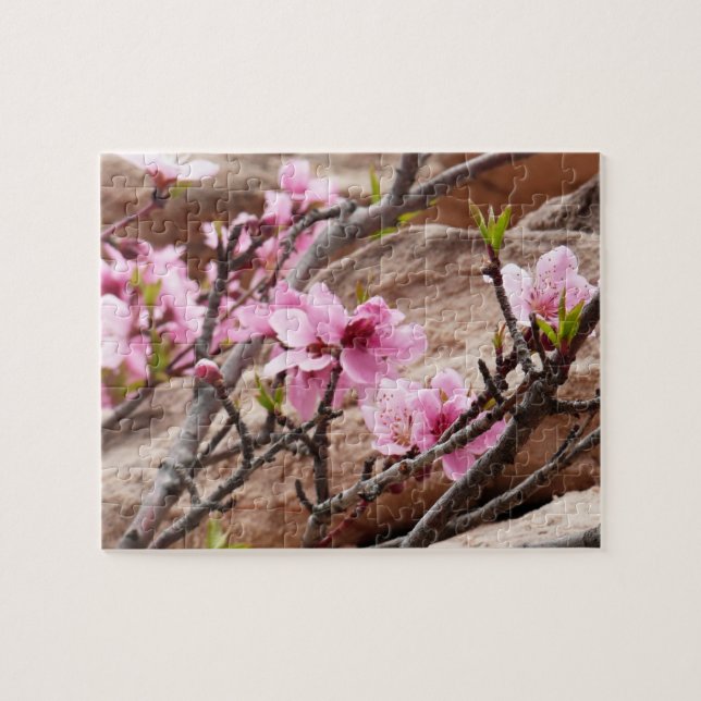 Quebra-cabeça Primavera Blossomo em Rochas Zion (Horizontal)