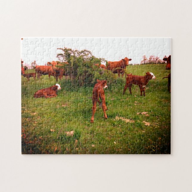 Quebra-cabeça Primavera Calves (Horizontal)