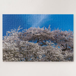 Quebra-cabeça Primavera Cherry Blossom